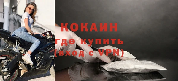 шишки Саяногорск