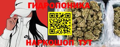 твердый Краснознаменск
