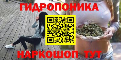 твердый Краснознаменск
