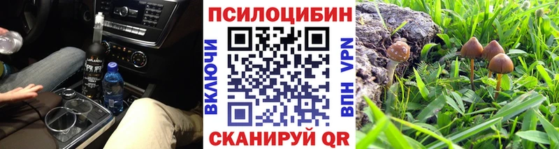 Псилоцибиновые грибы Cubensis Кропоткин