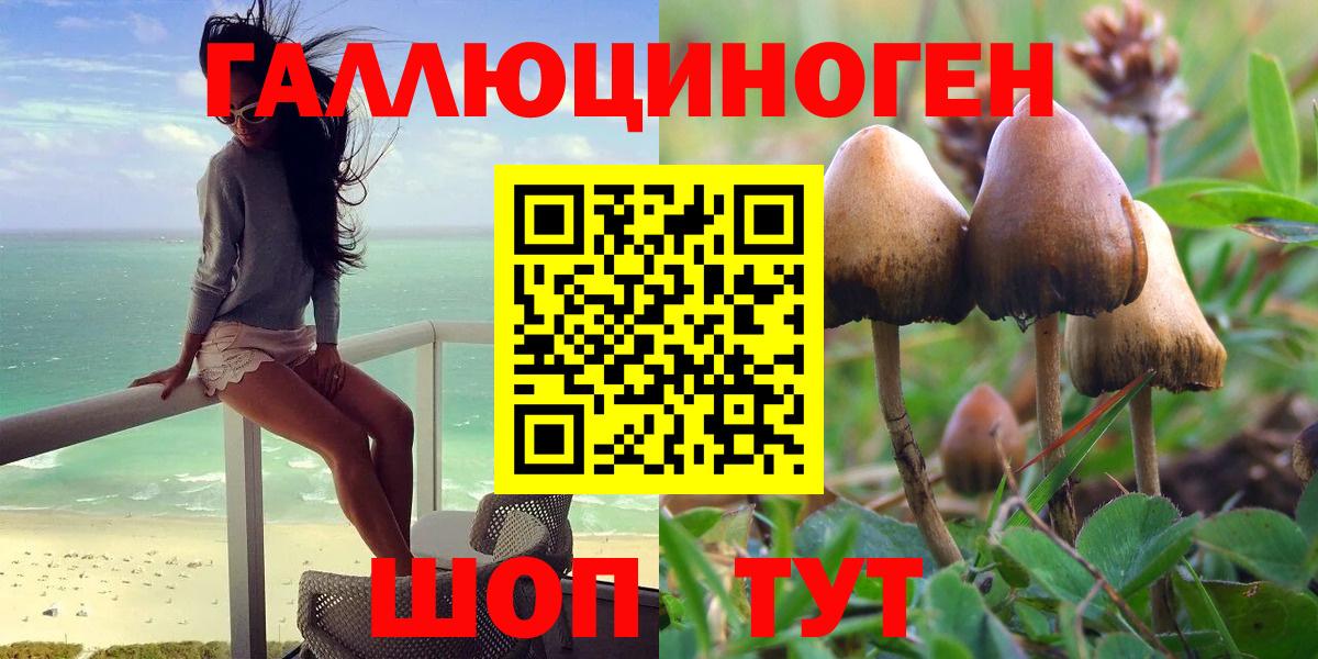 Псилоцибиновые грибы прущие грибы Кропоткин